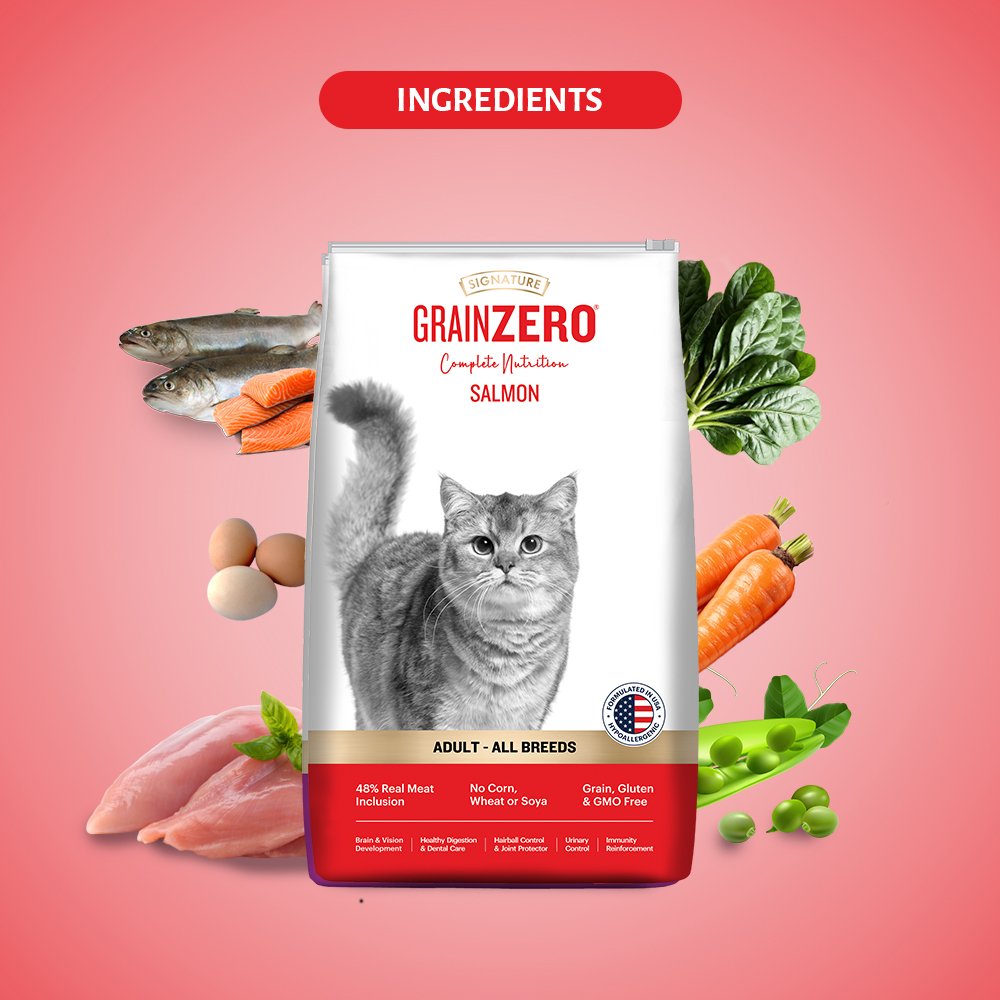 Grain Zero Salmon, Adult Dry Cat Food, 1.2 Kg + Free Cat Creamy Treat 75g