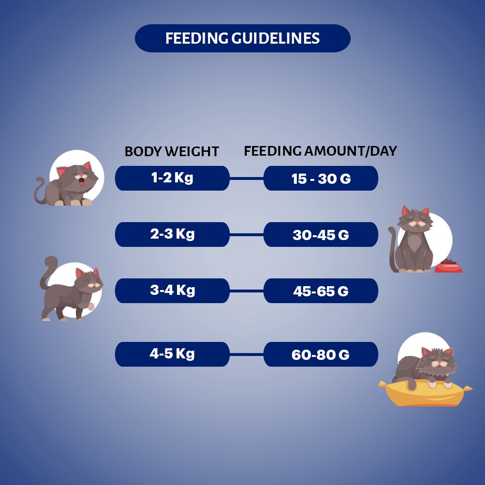 Grain Zero Sea food, Adult Dry Cat Food 1.2 Kg + Free Cat Creamy Treat 75g