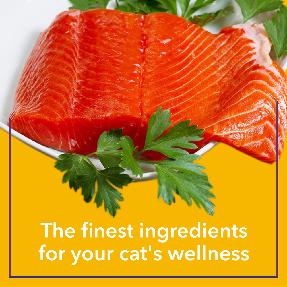 Purepet Cat Real Tuna in Gravy Cat Wet Food