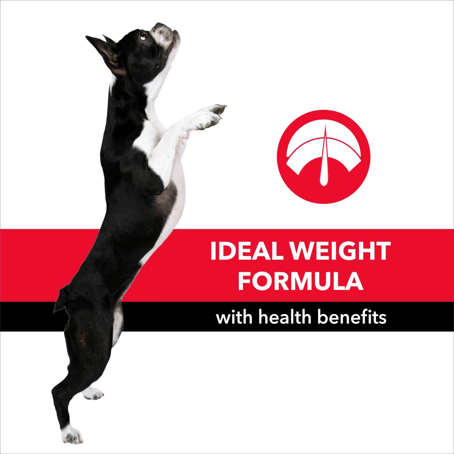 Purepet Meat and Rice Adult Dog Food