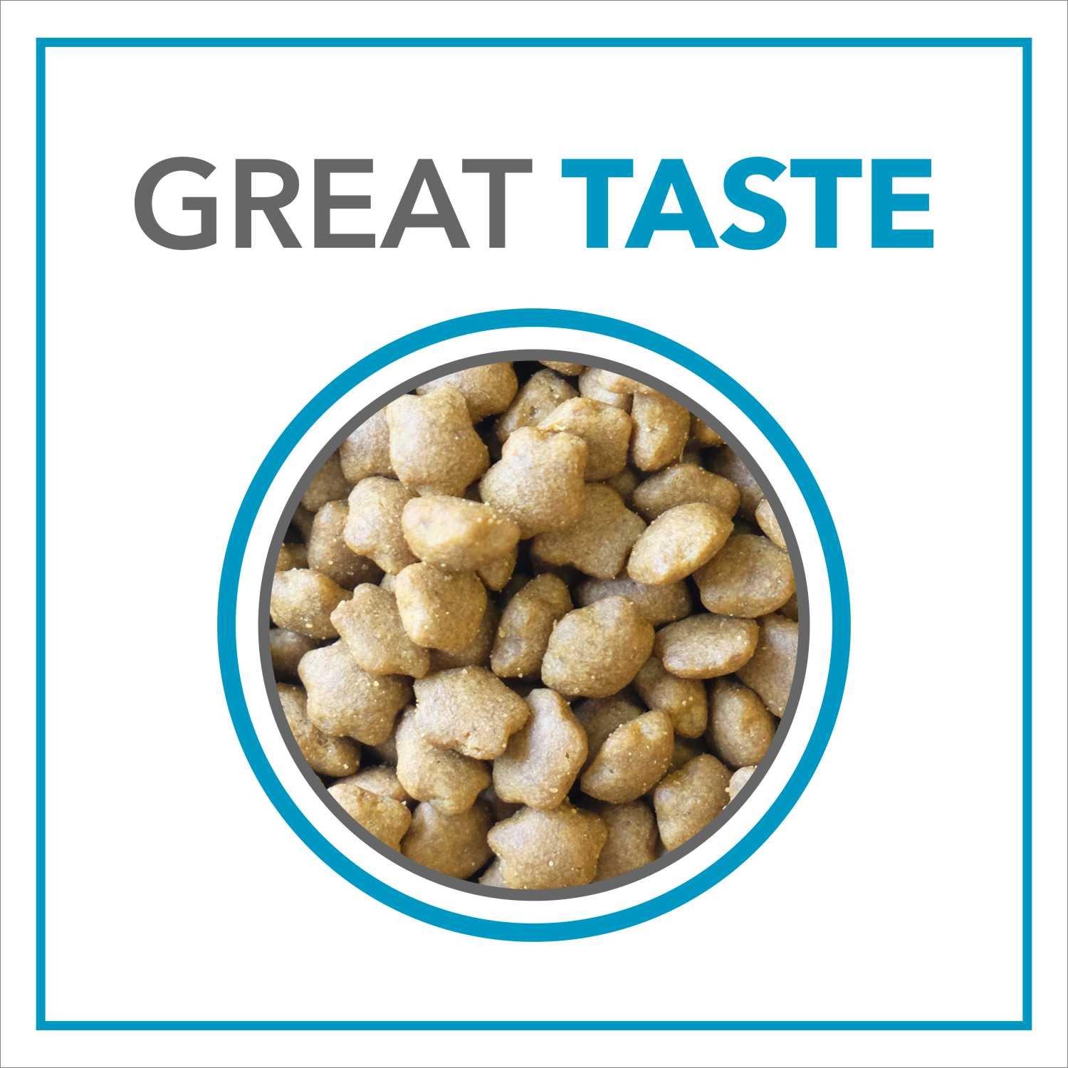 Purepet Ocean Fish Kitten Cat Food