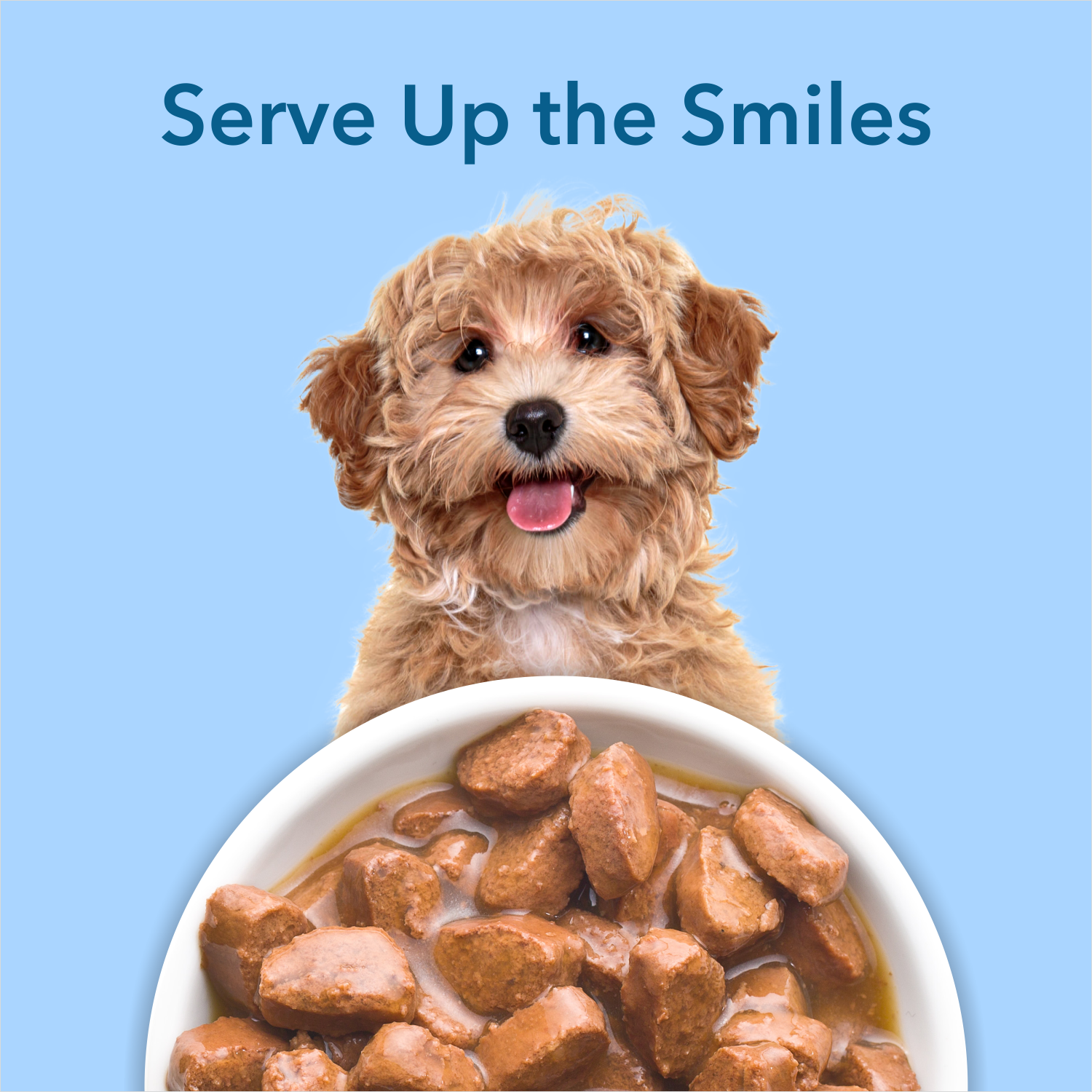 Purepet Wet Adult Dog Food, Chicken and Vegetable Chunks in Gravy