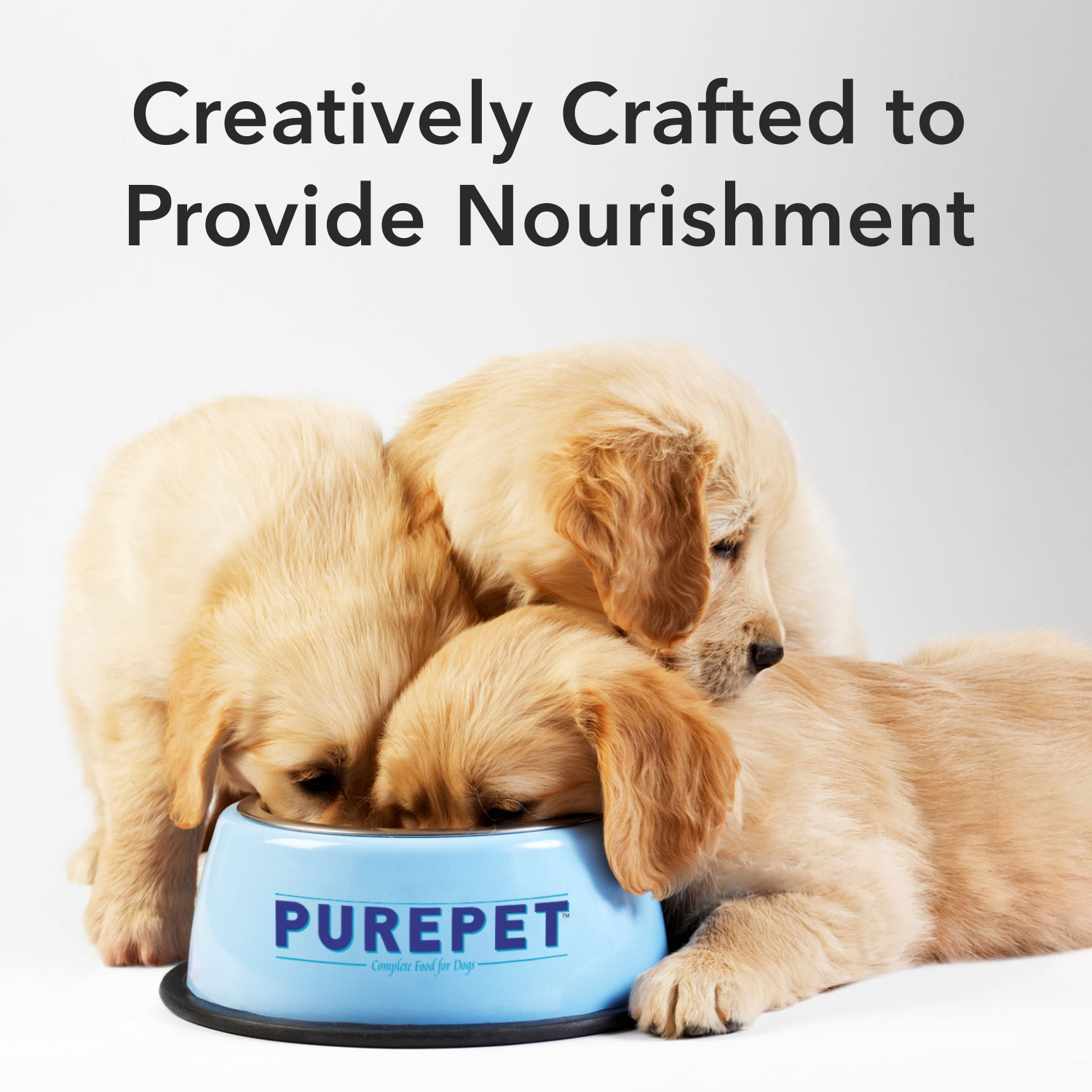 Purepet Wet Adult Dog Food, Chicken and Vegetable Chunks in Gravy
