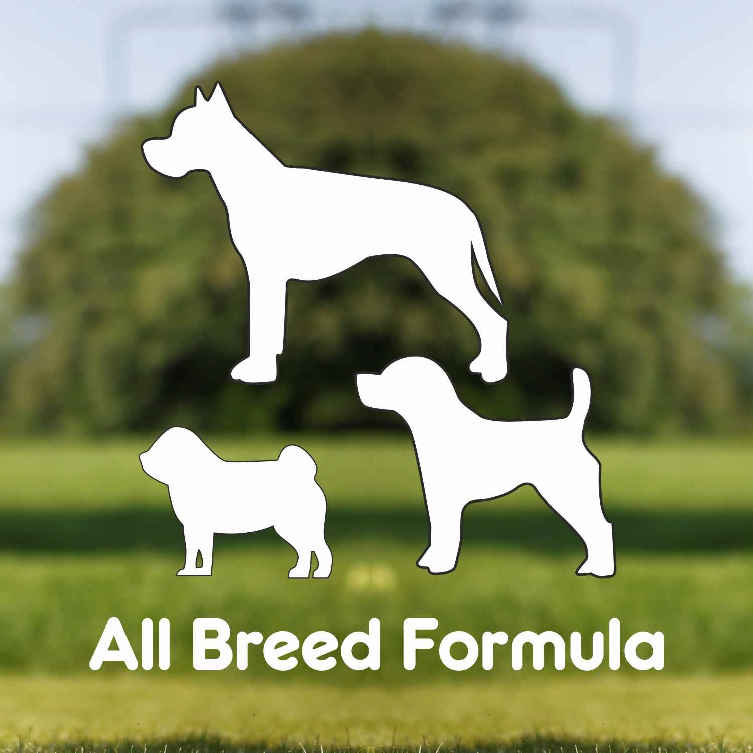 Purepet Pressed Chew Bones, Dog Treats