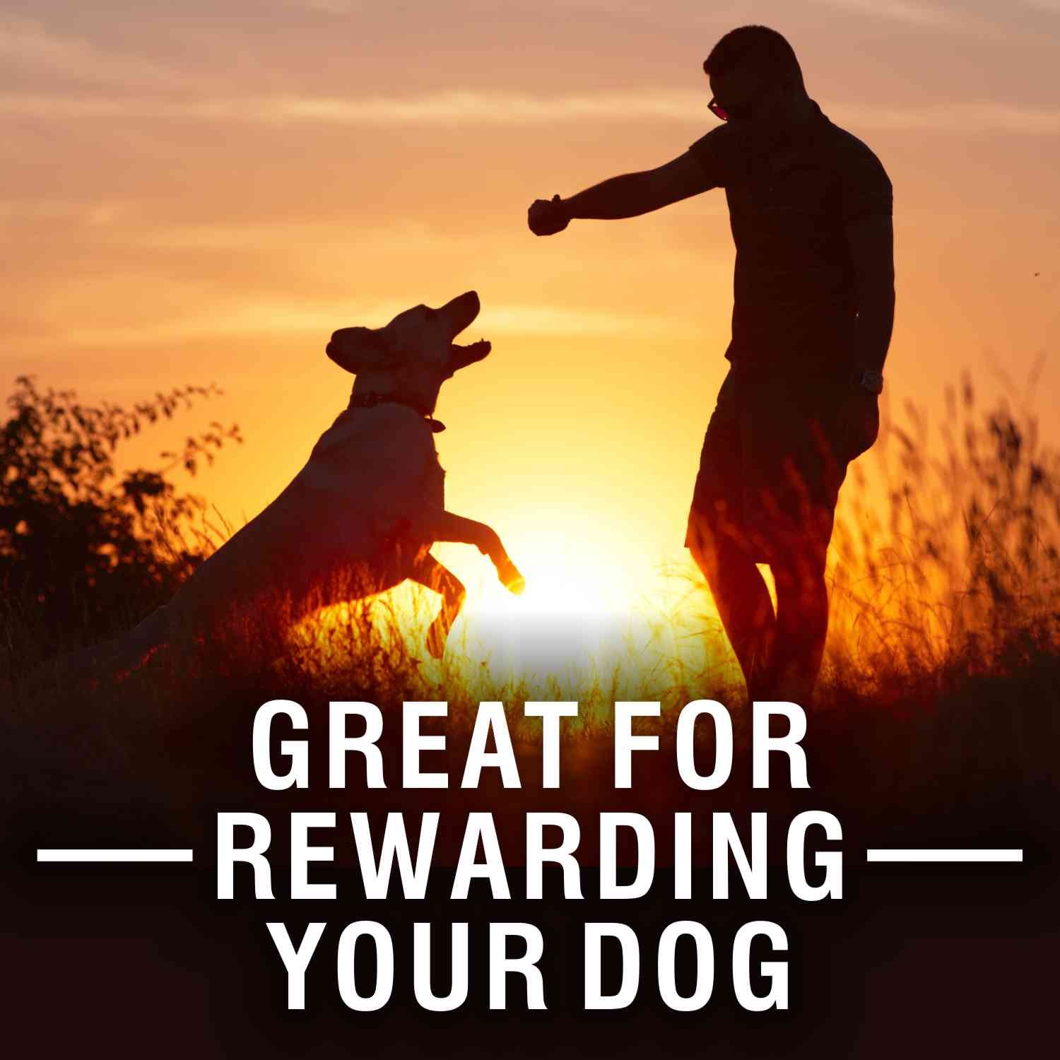 Purepet Biscuit  Veg flavour , Dog Treats