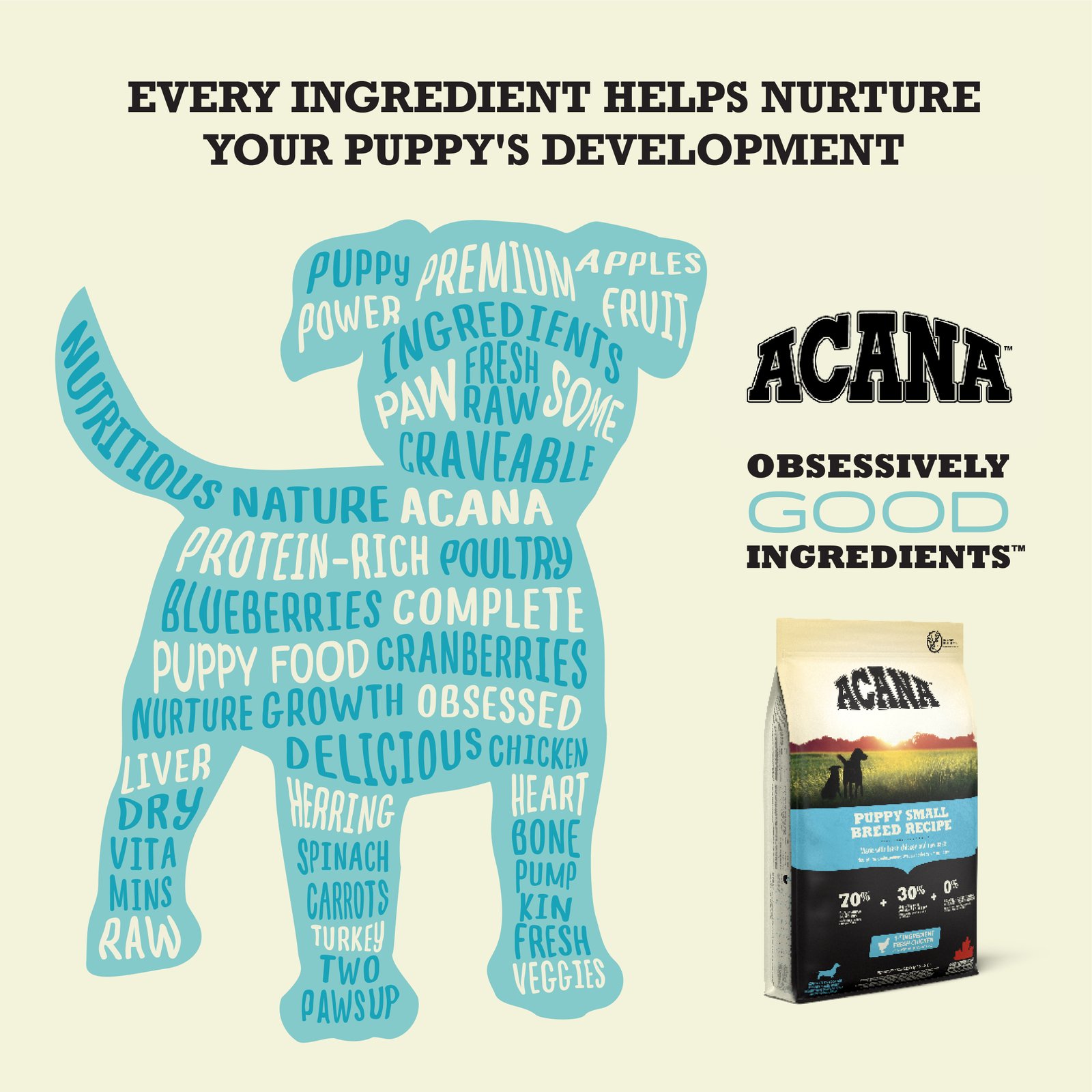 Acana Puppy Small Breed Dry Dog Food