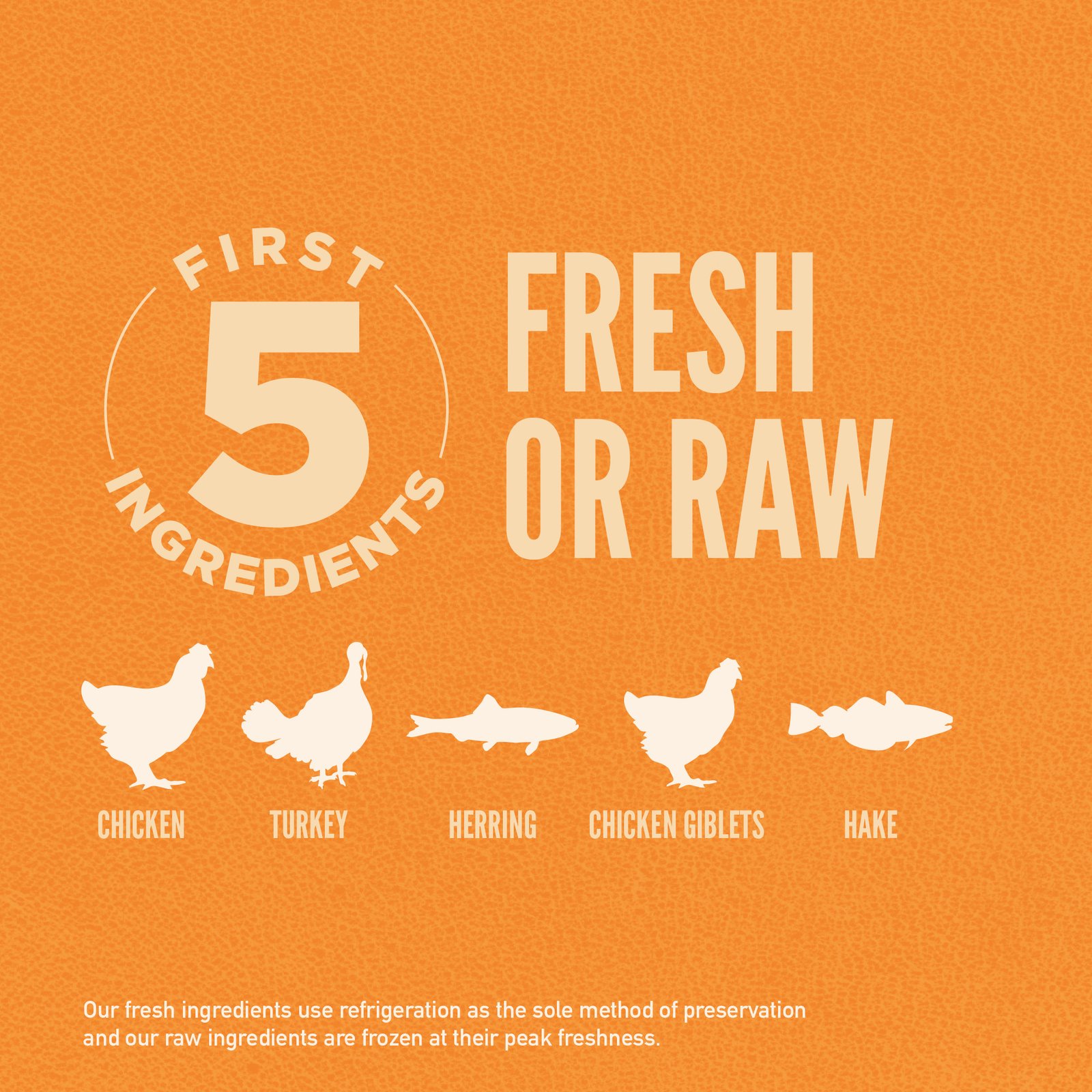 Orijen Original Cat Food