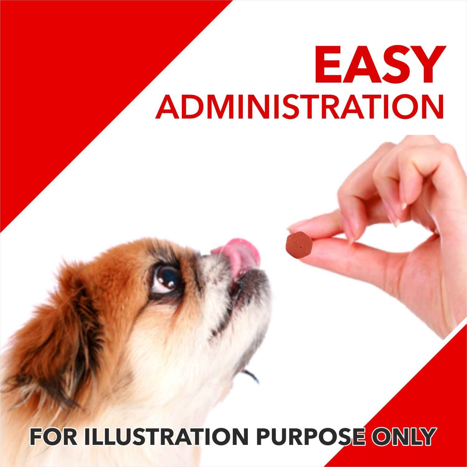 Drools Absolute Calcium Tablet- Dog Supplement