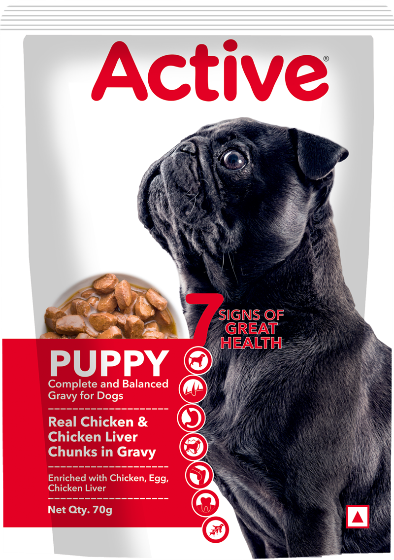 Active Puppy Gravy Wet Dog Food 