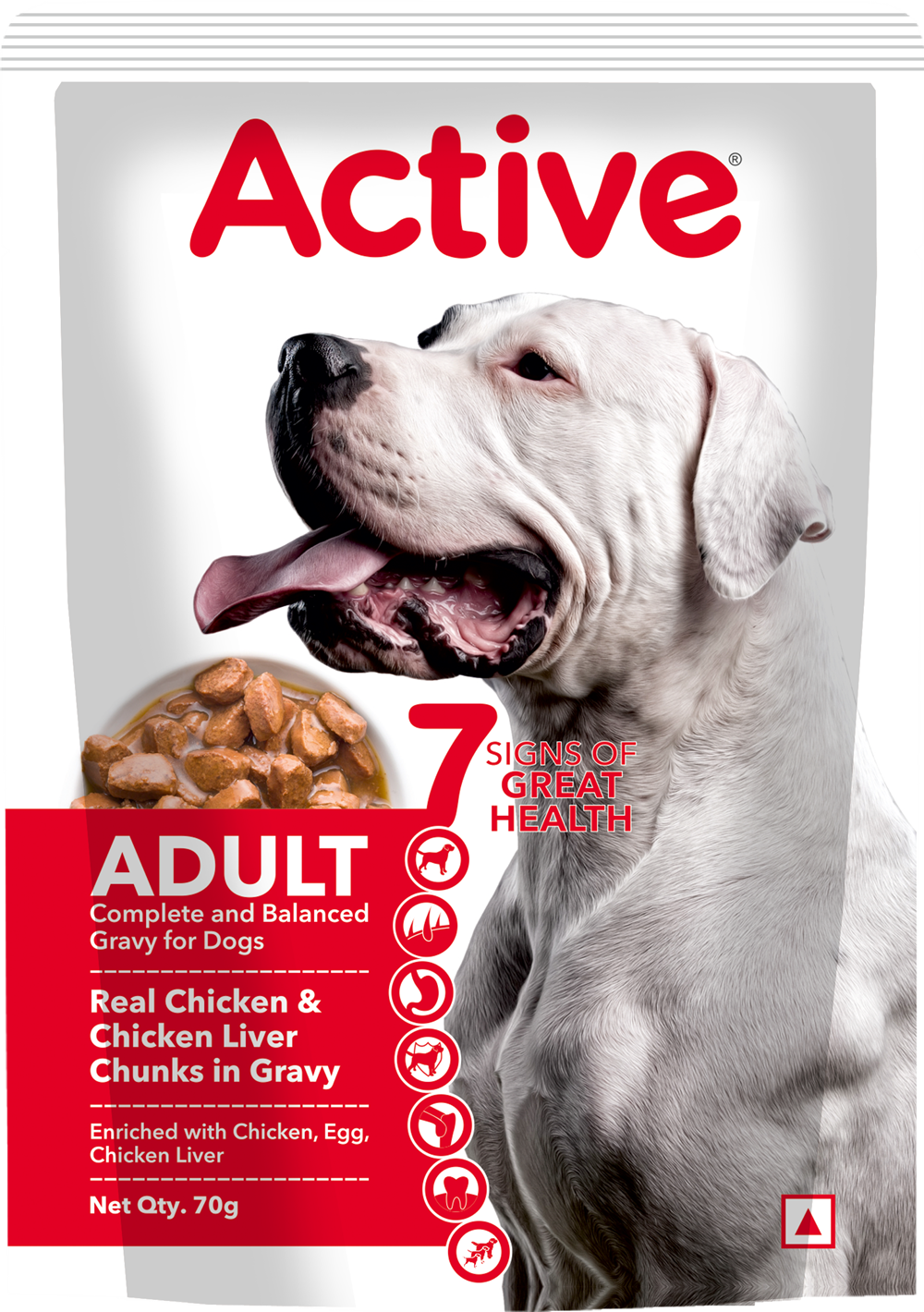 Active Adult Gravy Wet Dog Food 